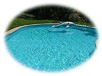 rental forster