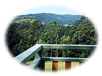 holiday house forster